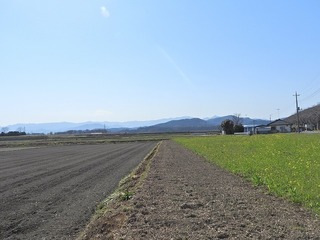 16.3.21.1.jpg