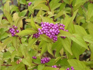 17.10.21.2.jpg