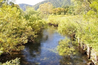 17.10.24.3.jpg