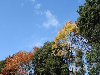 17.11.12.2.jpg