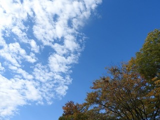 17.11.16.1.jpg