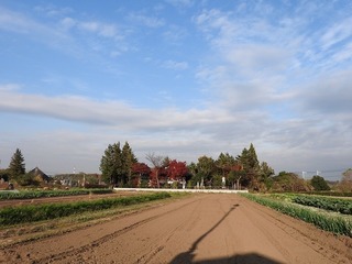 17.11.28.1.jpg