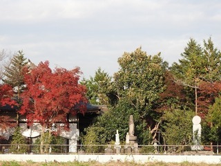 17.11.28.2.jpg