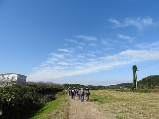 17.11.8.1.jpg