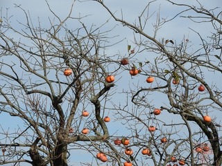17.11.8.3.jpg