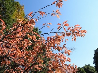 17.11.8.4.jpg