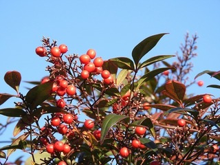 17.12.19.2.jpg