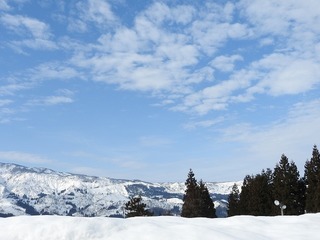 17.2.5.1.jpg