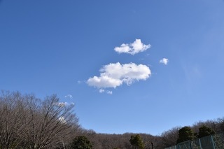 17.3.11.1.jpg
