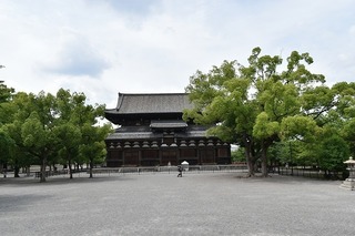 17.6.28.6.jpg