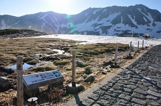17.8.1.1.jpg