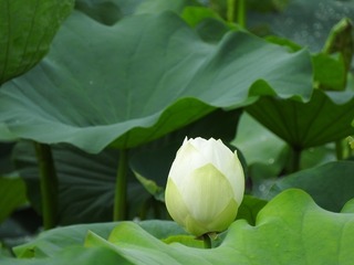 17.8.14.2.jpg