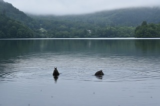 17.8.26.3.jpg