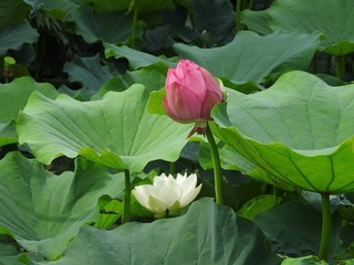 17.8.31.2.jpg