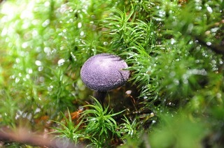 17.9.10.1.jpg