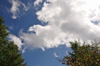 17.9.25.1.jpg