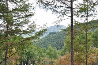 17.9.25.2.jpg