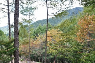 17.9.28.1.jpg