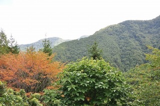 17.9.28.2.jpg