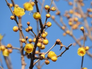 18.1.22.1.jpg