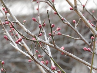 18.1.25.2.jpg