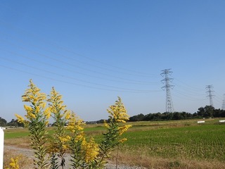 18.10.29.1.jpg