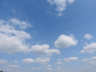 18.11.03.1.jpg
