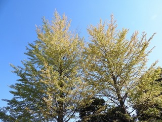 18.11.12.1.jpg