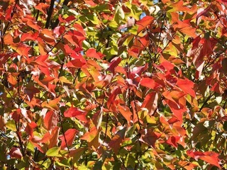18.11.12.3.jpg