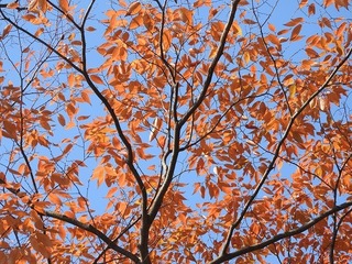 18.11.18.3.jpg