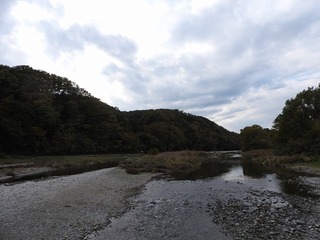 18.11.26.1.jpg