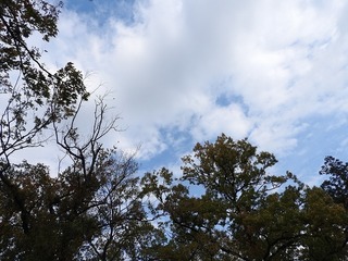 18.11.30.1.jpg
