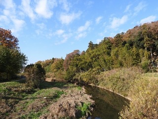 18.12.24.1.jpg