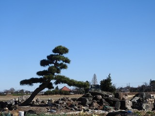 18.12.26.3.jpg