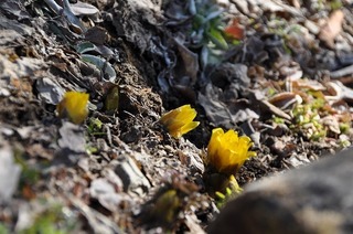 18.2.12.2.jpg