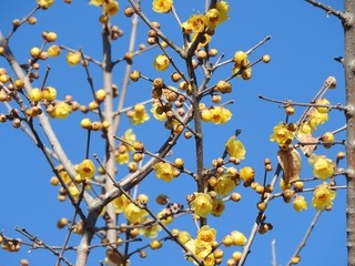 18.2.15.2.jpg