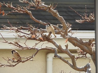 18.2.21.1.jpg