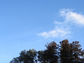 18.2.8.1.jpg
