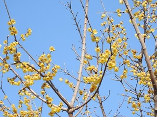 18.3.14.2.jpg