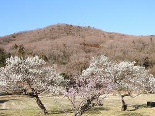 18.3.18.jpg