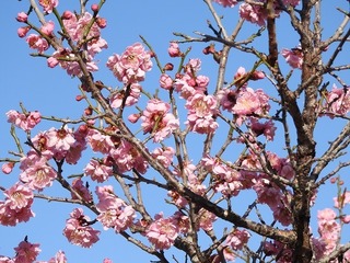 18.3.18.1.jpg