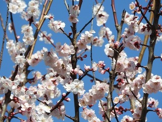 18.3.19.2.jpg