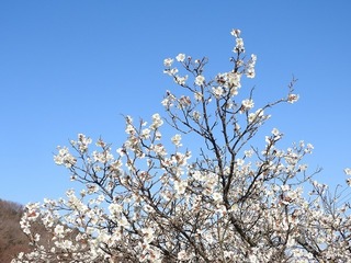 18.3.19.3.jpg