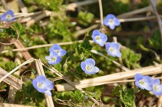 18.3.24.1.jpg