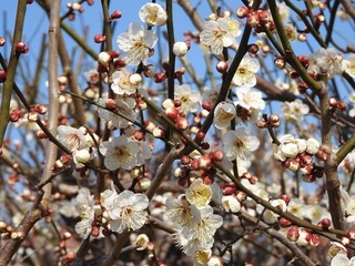 18.3.4.2.jpg