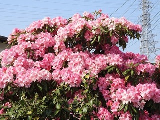 18.4.12.1.jpg