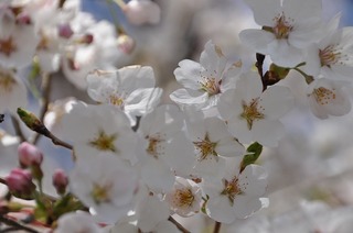 18.4.14.2.jpg