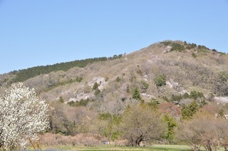 18.4.14.3.jpg