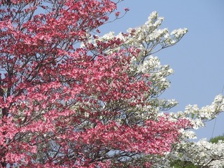 18.4.15.1.jpg