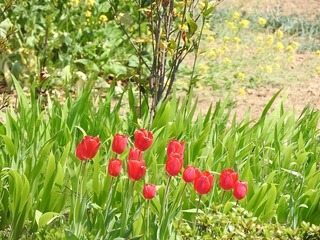 18.4.15.2.jpg